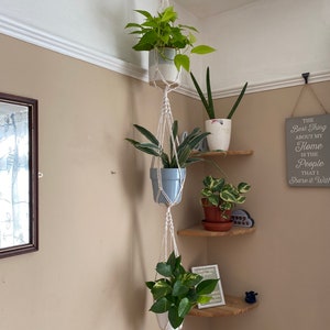 Puede incluir: Un macetero de macramé blanco con cuatro plantas en macetas colgando de él. Las plantas son una variedad de follaje verde y abigarrado. El macetero está colgado de un gancho en la esquina de una habitación. La pared está pintada de color beige claro. Hay una estantería de madera con un letrero que dice "Lo mejor de mi hogar es la gente con la que lo comparto."