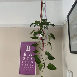 May include: A macrame plant hanger with a wooden ring at the top, holding a potted plant with green leaves. The plant is hanging from the ceiling in a corner of a room. The wall behind the plant has a purple poster with white text that reads "Beauty is in the eye of the beholder".