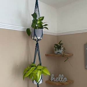 May include: Two potted plants hanging from a teal macrame plant hanger. The hanger is attached to the ceiling with a hook. The plants are in white and grey pots. The word "hello" is on a wooden shelf below the plants.