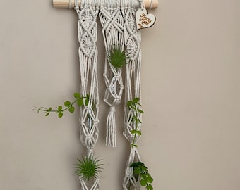 Macrame Propagation Station: Botanical Wall Art with Glass Tubes