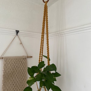 Peut inclure: Un porte-plante en macramé jaune moutarde avec un pot blanc et une plante verte suspendue.