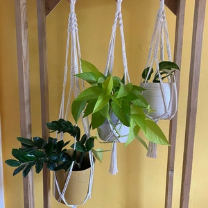 Peut inclure: Trois suspensions macramées pour plantes avec des anneaux en bois, suspendues à une étagère en bois. Les suspensions sont blanches et ont des glands. Deux des suspensions ont des plantes vertes dans des pots blancs, et une a une plante verte dans un pot jaune.