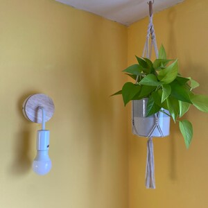 Simple Macrame Plant Hanger: Boho Indoor Houseplant Decor, Eco-Friendly Recycled Cotton