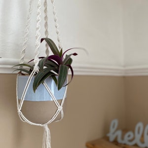 Könnte beinhalten: Ein weißer Makramee-Pflanzenhänger mit einem hellblauen und braunen Keramiktopf, in dem eine grüne Pflanze mit violetten Blättern wächst.