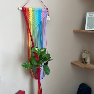 Puede incluir: Un macramé para colgar plantas con forma de arcoíris con una planta verde en su interior. El macramé está hecho de hilo de colores y tiene una barra de madera en la parte superior.