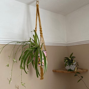 Mustard yellow macrame plant hanger, boho home decor, vase hanger, indoor plant pot holder, eco friendly gifts for plant lover