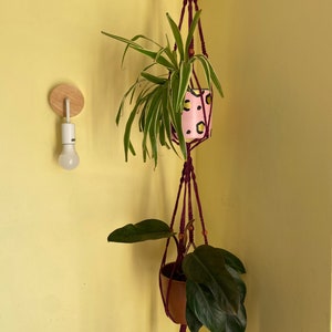 May include: Two hanging plant macrame planters with plants. The top planter is pink with black and yellow spots and holds a green plant with long leaves. The bottom planter is brown and holds a green plant with large leaves. The macrame is burgundy with wooden beads.
