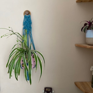 Blaugrüne Makramee Blumenampel: Recyceltes Baumwollseil, Zimmerpflanzen Dekor