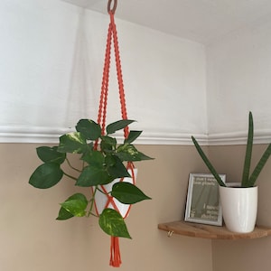 Orange twisted plant hanger,indoor plant pot holder, macrame plant hanger, recycled materials, houseplant hanger, plant gift, home gifts