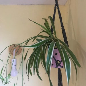 Short Grey Macrame Plant Hanger: Boho Eco Decor