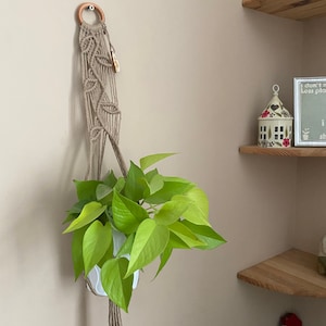 Könnte beinhalten: Ein Makramee-Pflanzenhänger mit einem Holzring oben, der eine Topfpflanze mit grünen Blättern hält. Der Hänger hängt an einer beigefarbenen Wand, und im Hintergrund befinden sich Holzregale.