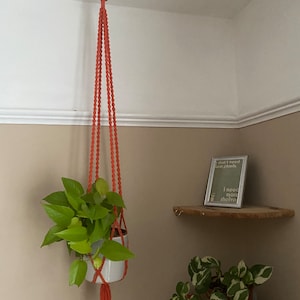 Peut inclure: Une plante suspendue dans un pot blanc avec des feuilles vert vif, suspendue par un porte-plante en macramé couleur rouille. Le support est fixé à un anneau en bois au plafond. La plante est dans un coin de pièce aux murs neutres.