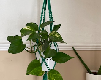 Short green macrame plant hanger, boho home decor, indoor plant pot holder, plant accessories, eco friendly, gift for plant lover