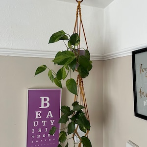 Könnte beinhalten: Ein Makramee-Pflanzenhänger mit einem hellbraunen Seil hängt von der Decke. Zwei Topfpflanzen mit grünen Blättern hängen im Makramee-Pflanzenhänger. Der Pflanzenhänger befindet sich in der Ecke eines Raumes mit einer weißen Wand und einem lila gerahmten Druck, auf dem "Schönheit liegt im Auge des Betrachters" steht.