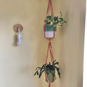 May include: Two potted plants hanging from a macrame plant hanger. The top plant is in a white and green pot and the bottom plant is in a green pot. The hanger is made of red and yellow cord.