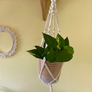 May include: A macrame plant hanger with a beige ceramic pot holding a green and yellow pothos plant. The macrame is white and cream-coloured, with a wooden ring at the top. The pot has a textured pattern. The plant holder is suspended.