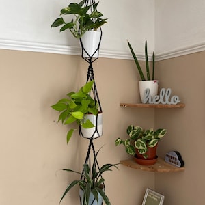 Peut inclure: Trois plantes en pot suspendues à un porte-plantes en macramé noir. Le porte-plantes est fixé au plafond. Les plantes sont dans des pots blancs et bleus. Le mot "hello" est sur une étagère en bois à l'arrière-plan.
