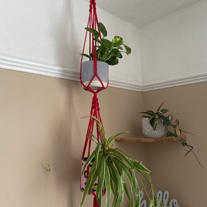 May include: Two hanging plant pots with red macrame plant hangers. The top pot is gray and the bottom pot is pink with black and yellow spots. The word "hello" is on a shelf below the pots.