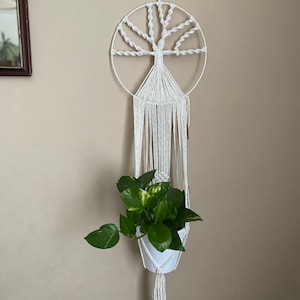 May include: White macrame plant hanger with a circular top and a tree design. A green potted plant is hanging in the macrame.