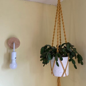 Könnte beinhalten: Ein Makramee-Pflanzenhänger mit einem weißen Keramiktopf und einer grünen Pflanze, die von der Decke hängt. Der Hänger ist aus Naturfaserseil gefertigt und hat unten einen Quasten.