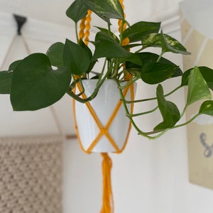 May include: A white ceramic planter with a green potted plant hanging from a yellow macrame plant hanger.