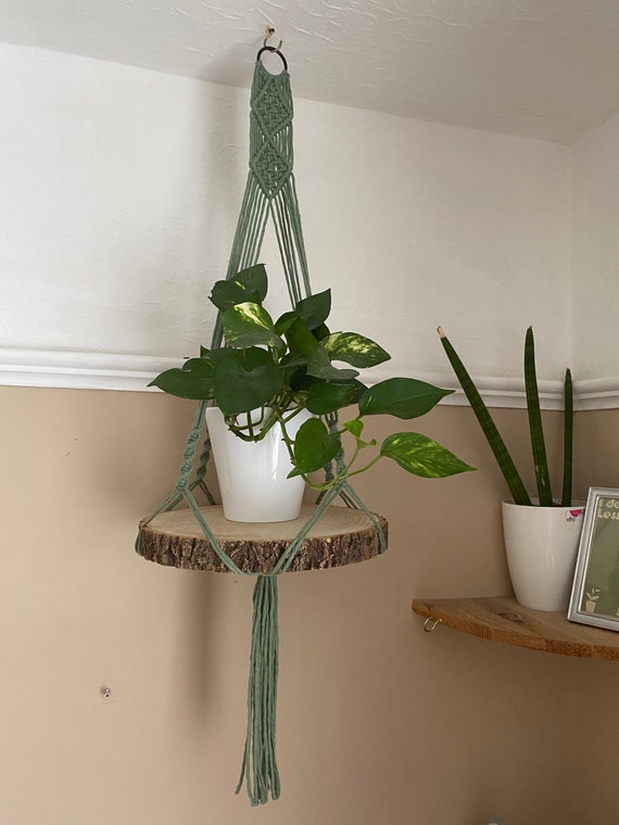 Wood 2024 slice shelf