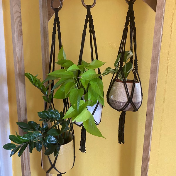 Plant hanger 3 pack, eco friendly gift for plant lover, indoor plant starter kit, indoor plant hanger, indoor hanging basket, plant gifts