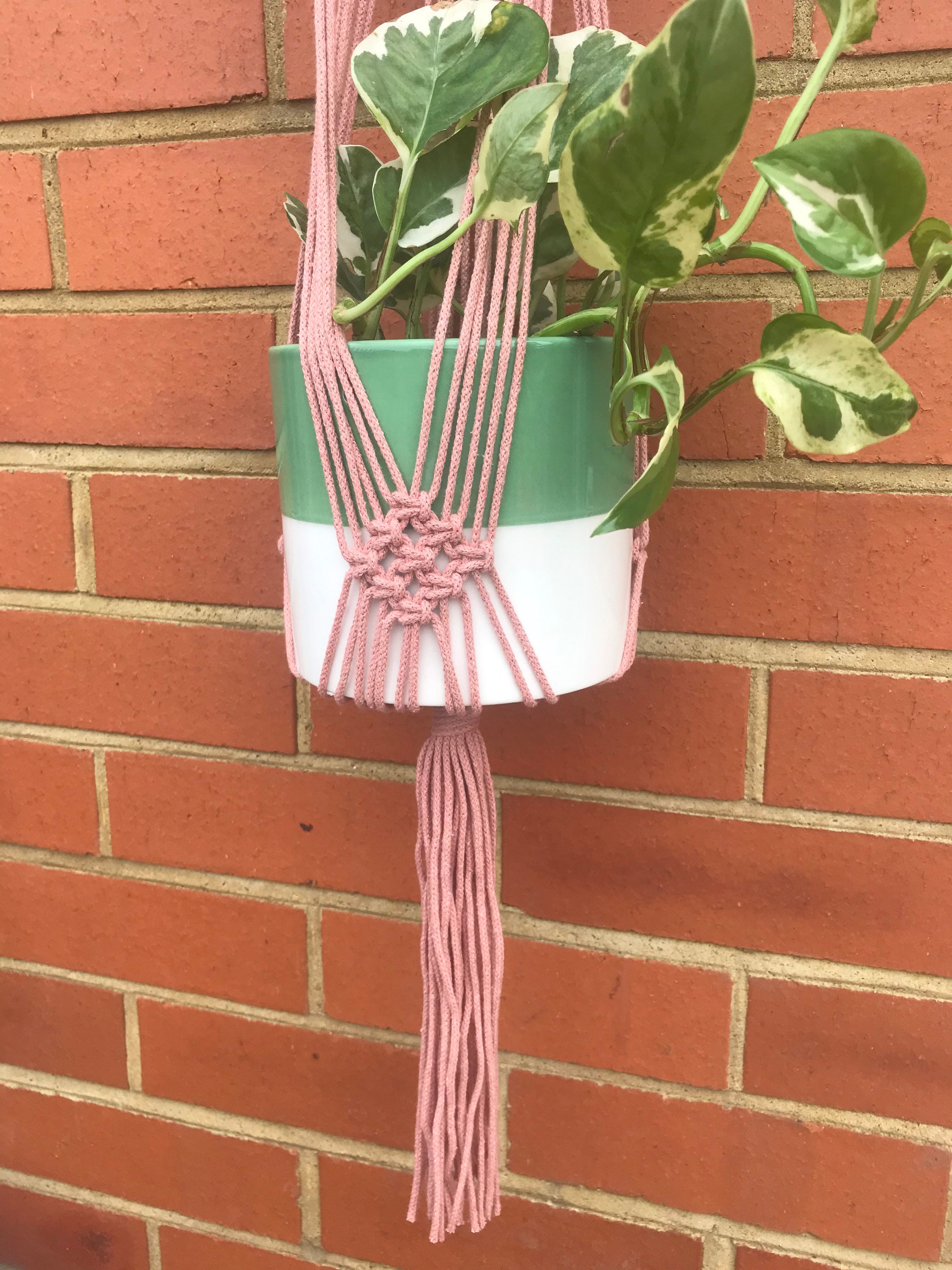 Blush Pink Plant Hanger Macrame Wall Hanging Plant Gift Etsy UK