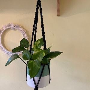 May include: A black macrame plant hanger with a wooden ring at the top, holding a green and white ceramic pot with a leafy plant.