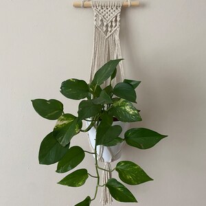 Boho Makramé Vägghängare | Miljövänlig Vägghängare för Krukväxter