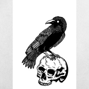May include: A black crow perched on a white human skull. The crow has a single white eye and is facing to the right. The skull is facing to the left and has a detailed design.
