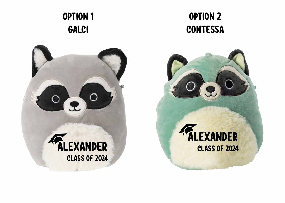 Personalized Graduation Squishmallow. Personalized Squishmallow
