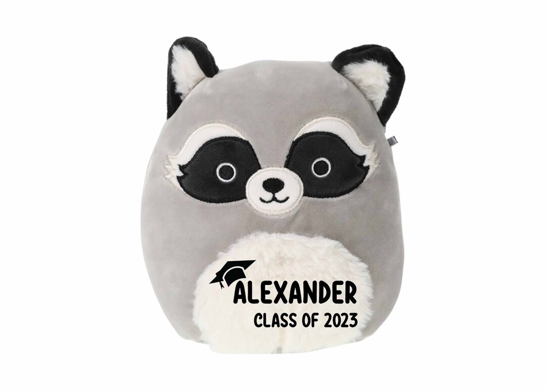 Graduation Squishmallow. Personalized Squishmallow. Etsy