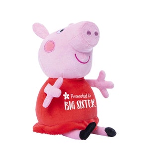 Personalized Big sister plush. Best sister plush
