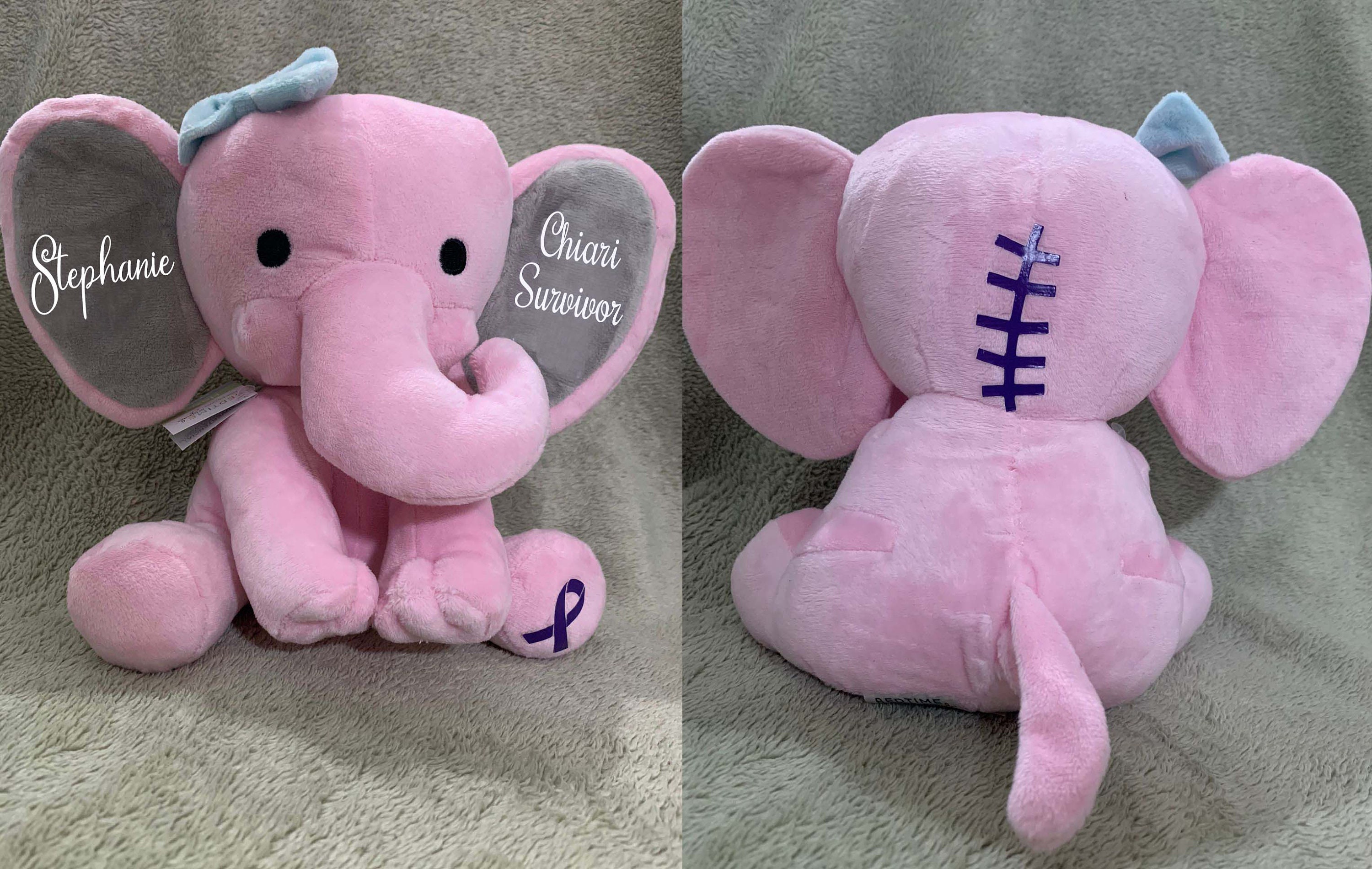 Chiari Malformation 