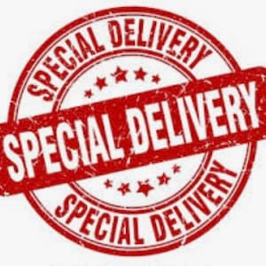 May include: Red distressed rubber stamp with the text "SPECIAL DELIVERY" in white lettering.