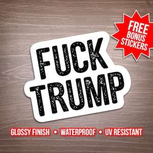 Anti-Trump Political Protest Stickers: 100pc Mini Decals