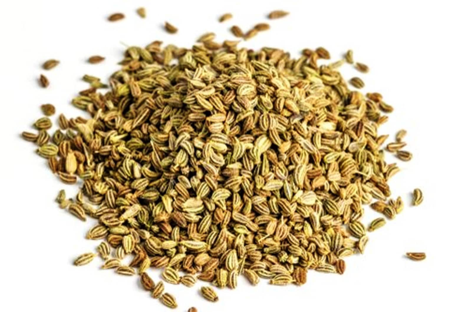Organic AJWAIN SEEDS Carom Seeds Premium Quality from Etsy
