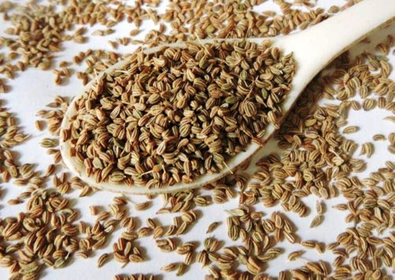 Organic AJWAIN SEEDS Carom Seeds Premium Quality from Etsy