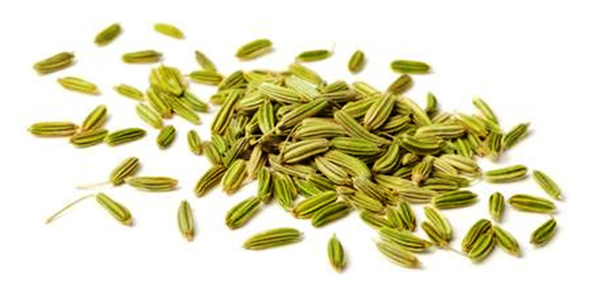 Organic FENNEL SEEDS saunf Premium Quality From Unique Etsy UK