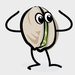 RJ Pistachios