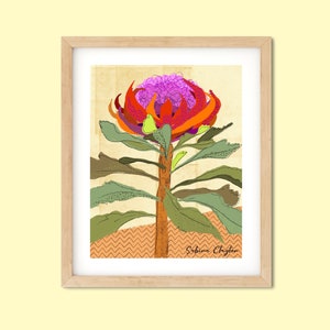 Impressão digital de planta nativa australiana Pink Waratah, arte de parede neutra, arte de parede de planta, download instantâneo de planta de casa para impressão