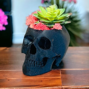 Human Skull Planter Pot, Handmade Witchy Cottagecore Gothic Dark Academia Medical Office Home Decor, Plant Lover Medical Professional Gift image 1