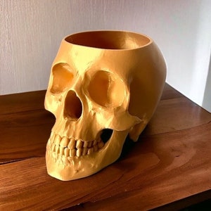 Human Skull Planter Pot, Handmade Witchy Cottagecore Gothic Dark Academia Medical Office Home Decor, Plant Lover Medical Professional Gift image 3