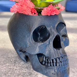 Human Skull Planter Pot, Handmade Witchy Cottagecore Gothic Dark Academia Medical Office Home Decor, Plant Lover Medical Professional Gift image 4