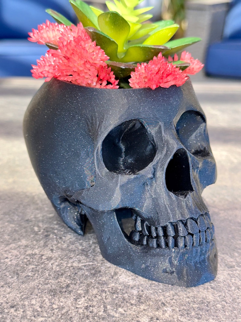 Human Skull Planter Pot, Handmade Witchy Cottagecore Gothic Dark Academia Medical Office Home Decor, Plant Lover Medical Professional Gift image 4