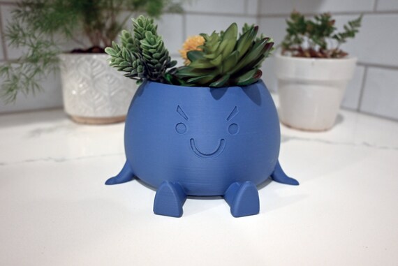 Cute Smile Planter Pot  Kawaii Face Planters with Drainage