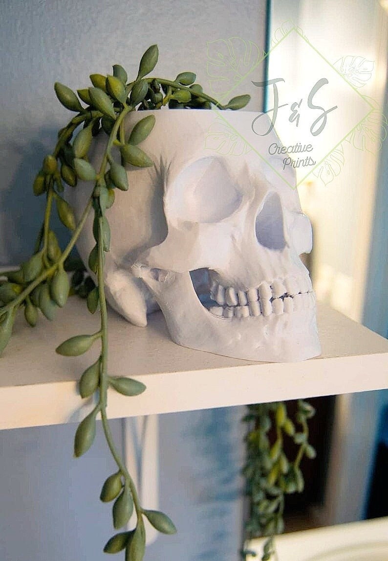 Human Skull Planter Pot, Handmade Witchy Cottagecore Gothic Dark Academia Medical Office Home Decor, Plant Lover Medical Professional Gift image 5