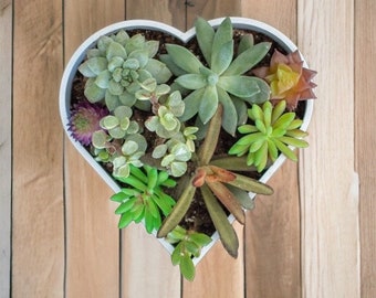 Heart Shaped Succulent Garden Planter Pot // 3D Printed Succulent Zen Garden Arrangement Planter with Drainage