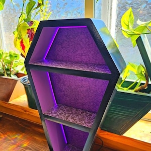 Puede incluir: Una estantería negra en forma de ataúd con tres niveles, con interior morado y respaldo estampado. La estantería tiene iluminación LED morada incorporada y se exhibe cerca de una ventana con plantas.